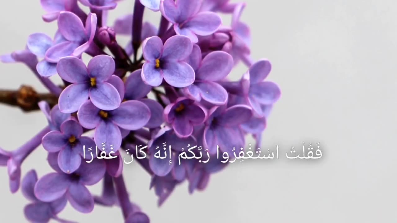 Qur'an Recitation ""