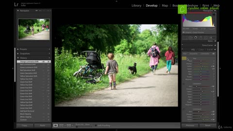 Adobe Lightroom Working with Color Corrections Chapter 5