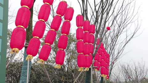 Red lanterns in my home