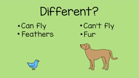 Comparing animals