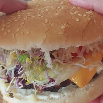 Perfect Homemade Hamburger better than Burger King 🍔 😋 #burger #food #homemade #cooking #howto