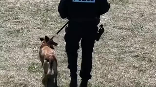 l sera peut-être possible d’incarner un policier 👮‍♂️ dans le prochain