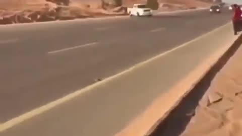 Arabian drift