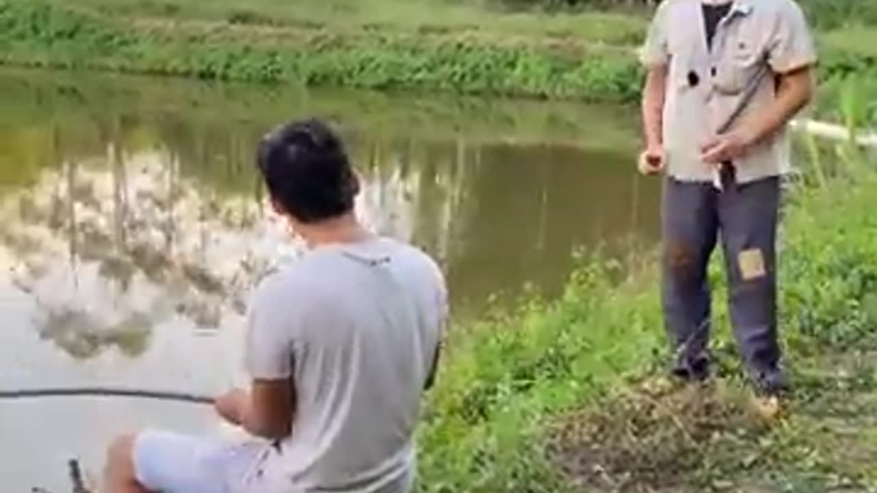 Funny video Best funny Videos Try not to Laugh
