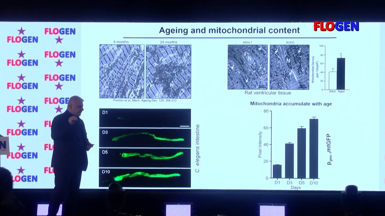 Prof. Nektarios Tavernarakis Plenary FLOGEN SIPS 2022 Yoshikawa Intl. Symposium on Oxidative Stress