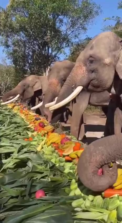 Breakfast at the all inclusive Caribbean resorts