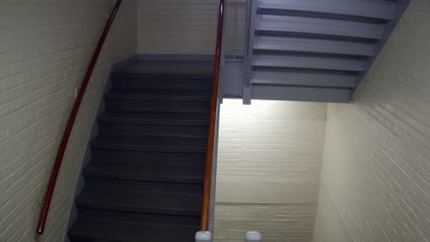 3874FHOB03Stair1_2021-01-05_01h40min00s403ms.mp4