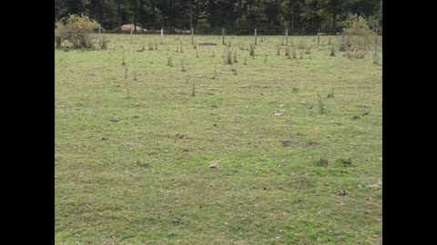 huapi turistico 2