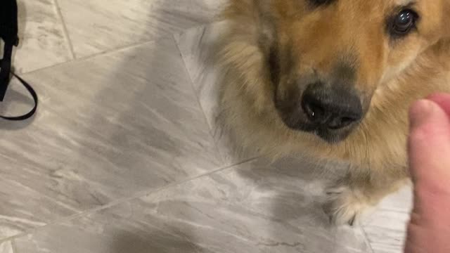 How many “treats”