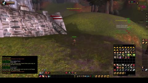 Turtle Wow - The adventures of a slow Armorless Vagrant warrior - part 8