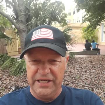 Live Oak dating back 500 years in Safety Harbor, Florida