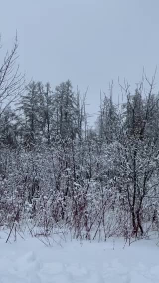 A color photo in black and white!?!?!?