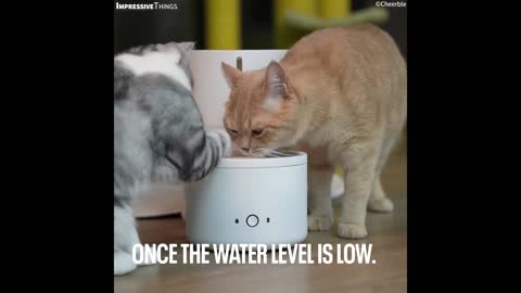 Smart Self - Cleaning Water Distributer For Pet