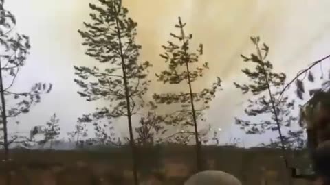 Ukrainian artillery