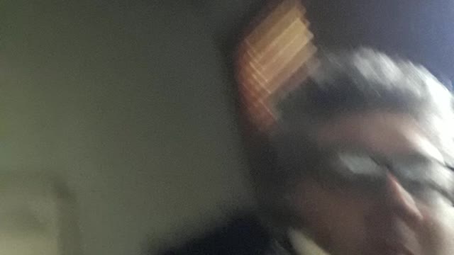 King Charles Cavalier licking some face