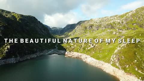NATURE VIDEO