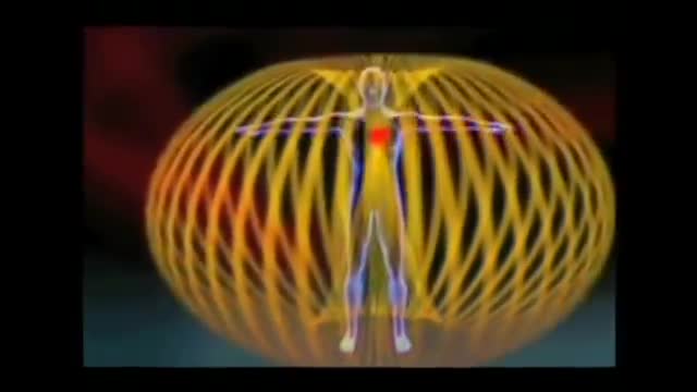 Electromagnetic Field of The Heart