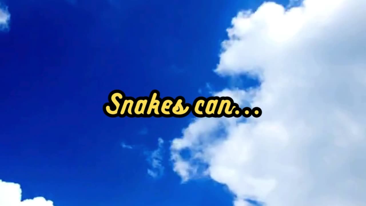 Animal Facts Snake Vision #shorts