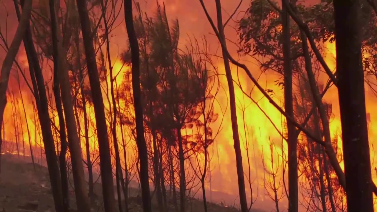 Drivers stranded as wildfires ravage central, northern Portugal