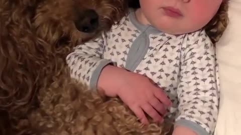 cute baby with cute puppy || dog|| sleeping with puppy got virat