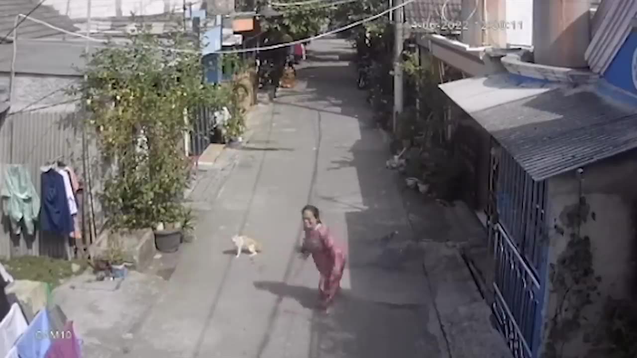 55 Incredible Moments Caught on CCTV Camera