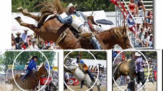 Elizabeth Stampede Rodeo Photos 2014-2019