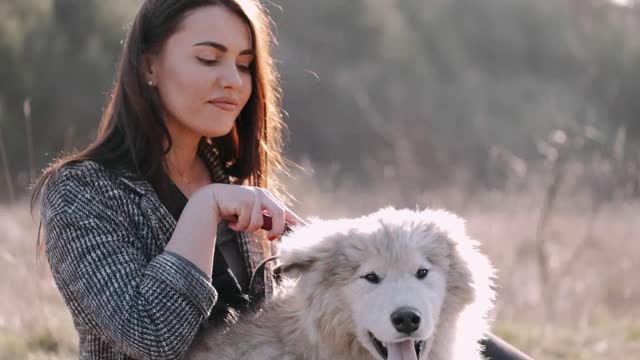 A woman combing her dog excess hair