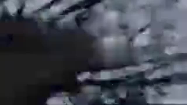GRAPHIC: Armed Forces of Ukraine 92obmr confused Russian tank with a Ukrainian tank