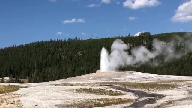 Old Faithful