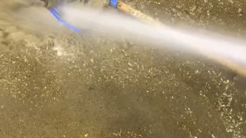 Early Celebration After Fishing Phone out of a Poop Pit