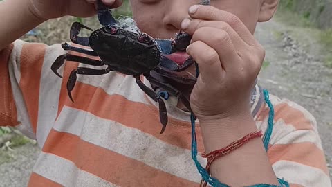 Local boy catching crabs