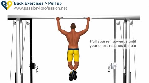 Pull Up Exercise