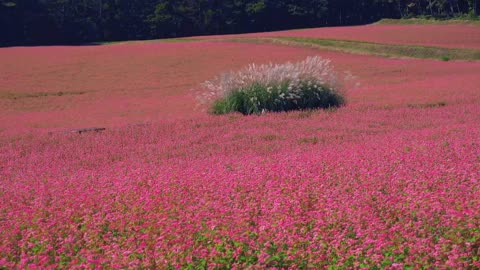 The wind has begun to smell of spring