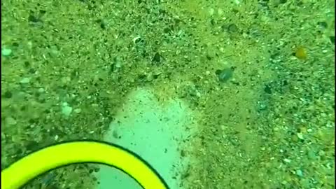 Clean up the underwater garbage and protect the marine natural environment.#8