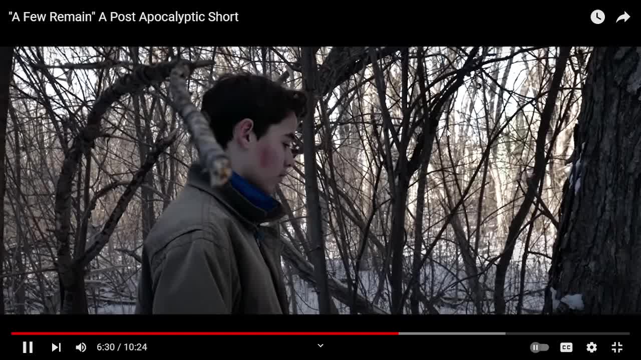 Post-Apocalyptic short film movie review #2