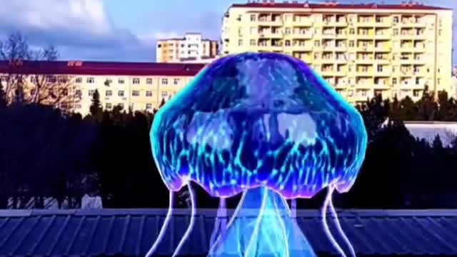 Jellyfish sky