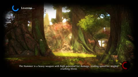 Kingdom of Amalur: Re-Reckoning, Playthrough, Pt. 5 (ish)