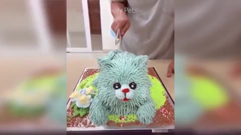 Cat Reaction to Cutting Cake - Funny Dog Cake Reaction 🐶
