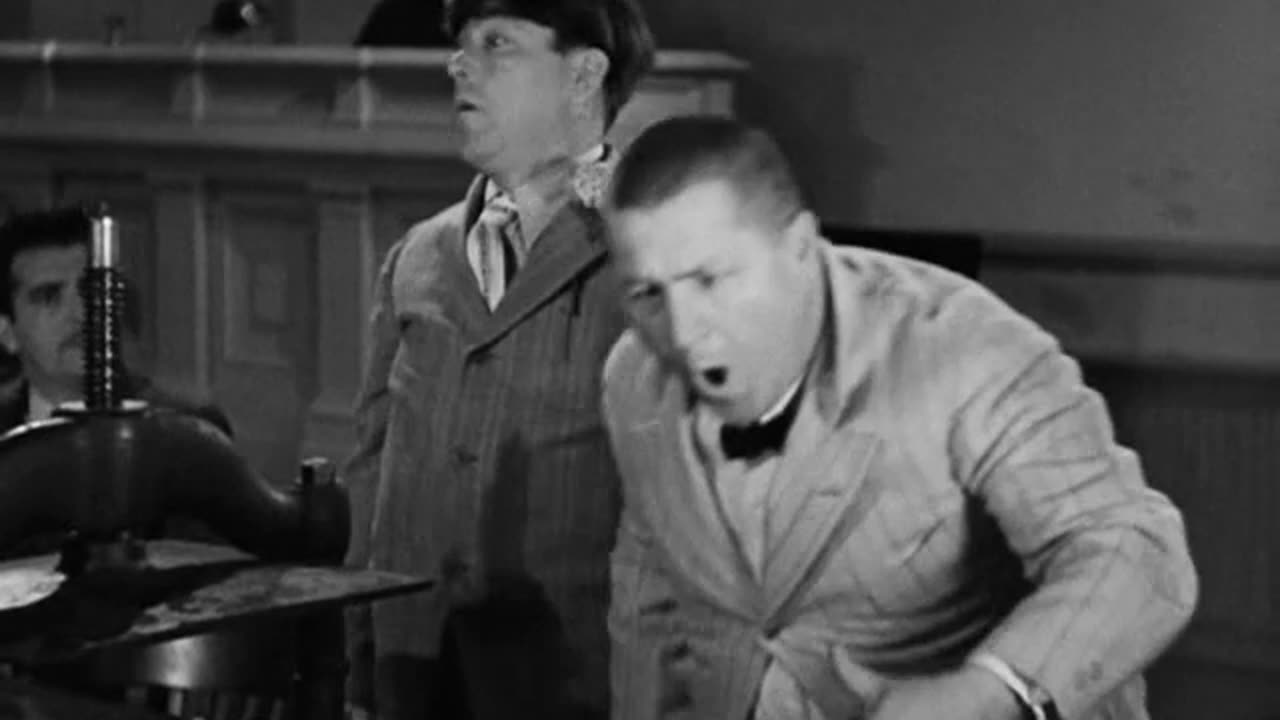 The Three Stooges - 015 - Disorder In The Court (1936) (Curly, Larry, Moe)