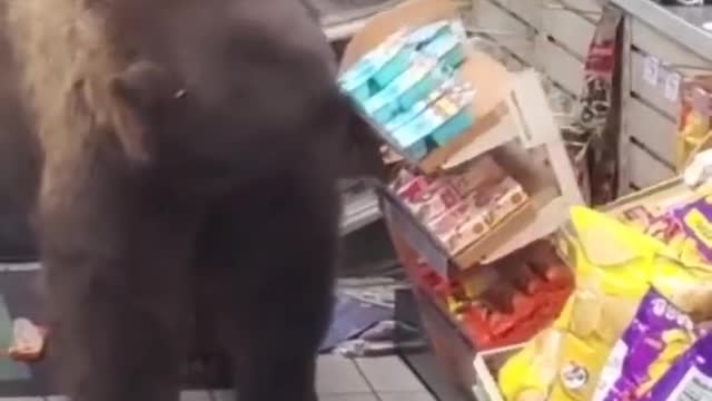 Just one snack