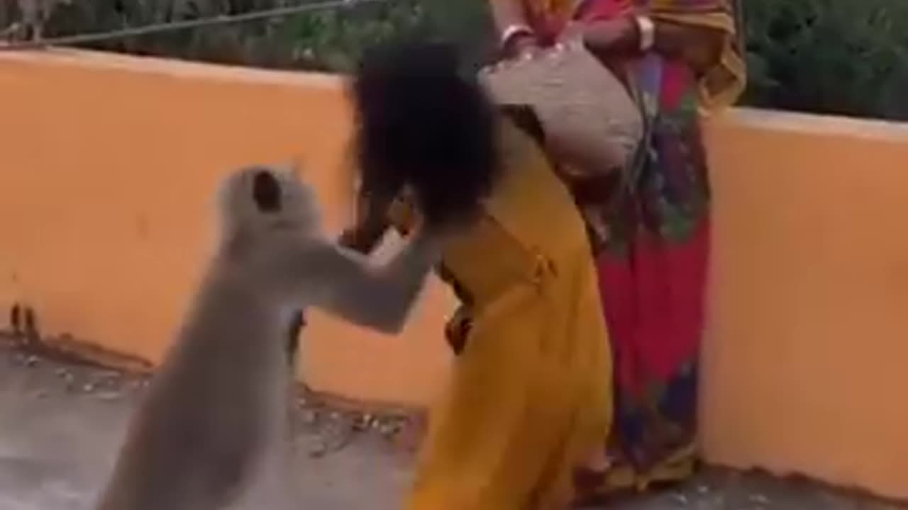 Girl Play With Monkey