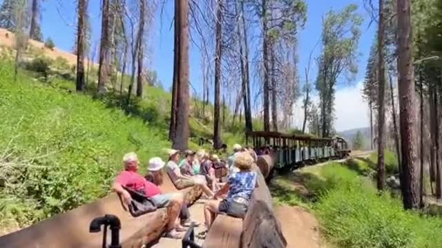 BEST vintage logging steam train ride in Northern California!