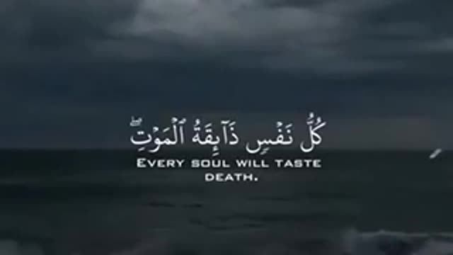 Please watch this beautiful video quran