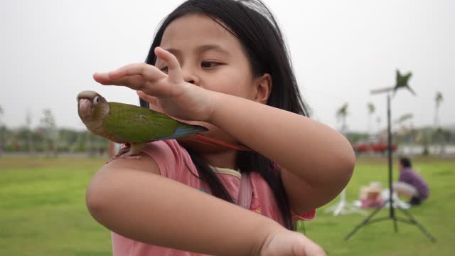 Angry Parrot Gossip To The Kid Friend