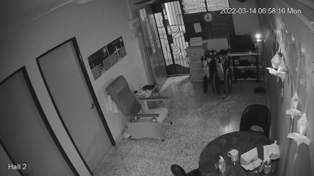 hallback midnight 20220314