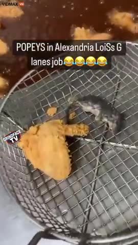 LOVE THAT VERMIN FROM POPEYS! RATS AT THE CHICKEN JOINT (THE NEW $1 WET MARKET MENU?)