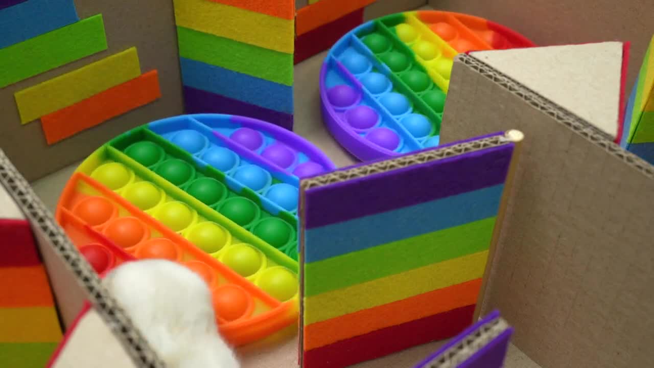 🐹 Hamster Escapes the Pop It Maze for Pets in real life 🐹 Homura Ham