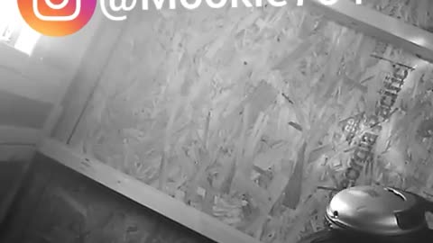 mookie7o4 Tag sza tydollasign