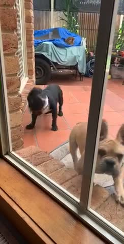 I love cuddling my big brother!