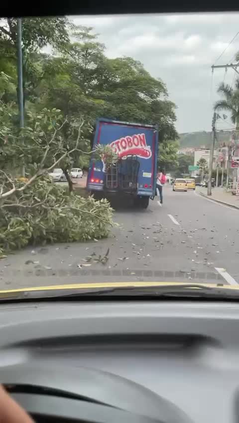 La pericia de un conductor evitó una tragedia, la mañana de este jueves en Bucaramanga